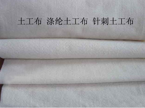 涤沦丝瓜导航视频