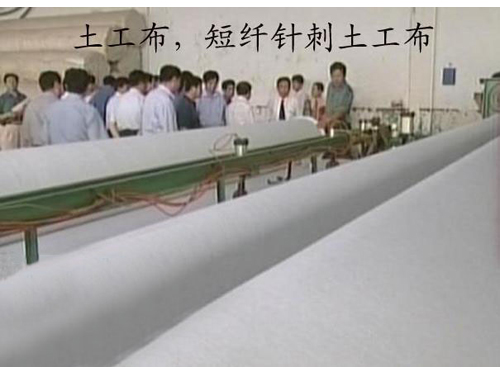 短刺丝瓜导航视频